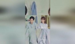 娱乐圈爆料吃瓜肖战事件,娱乐圈爆料背后的真相与反思